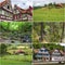 Collage with pictures with Black Forest, Germany