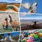 Collage of popular tourist destinations in Ecuador. Travel background. South America