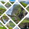 Collage of popular tourist destinations in Faroes Islands.  Travel background. Faroe Islands. Denmark. Europe