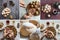 Collage of preparation of Egyptian cookies `Kahk El Eid` - cookies of El Fitr Islamic Feast. Ramadan sweets.