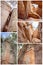 Collage Of Sandstone Cliffs Cania Gorge Australia