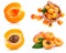 Collage set part of the fruits of apricot isolated on white