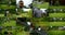 Collage shooting of a man who is at the dacha, wearing glasses, he mows the green lawn with a lawn mower, which then