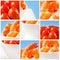 Collage of shrimps and tomatoes