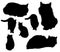 Collage of silhouettes of different cats on a white background
