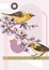 Collage style spring card design. Two yellow warbler on blooming Japanese quince branches vector sketch. Hand drawn songbirds and