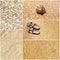 Collage of toned pictures of many beach items - flip-flops, shells,sand, sea water
