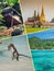 Collage of tourist photos of the Thailand.