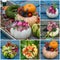 Collage of various pictures of decorated pumpkins