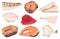Collage from various raw frozen fishes isolated