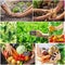 Collage vegetables. Garden. Food bio. selective focus