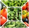 Collage of vegetables - products of vegetable garden. Healthy ea