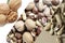 Collage of vertical pictures of different types of nuts. Peanuts, almonds, pecans, hazelnuts, walnuts and other nuts,