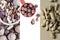 Collage of vertical pictures of different types of nuts. Peanuts, almonds, pecans, hazelnuts, walnuts and other nuts,