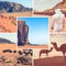 Collage of Wadi Rum Desert - Red Desert  Jordan  - travel background my photos