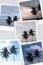 Collage of white clouds and blue sky with coconut trees in Sukabumi city