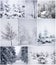 Collage of winter trees