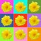 Collage with yellow chrysanthemum