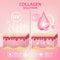 Collagen Serum Cosmetic Skin Care