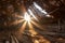 collapsed barn roof with sun shining through gaps