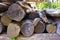 Collapsed logs and boards made of wood