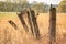 Collapsed old fence and concrete pillars and barbed wire