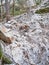 Collapsed rocky boulders fall down from sandstone rocks and landslide blocked forest path