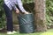 Collapsible garden cut grass and leaves bin with gardener trimming hedge bush and tree