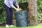Collapsible garden cut grass and leaves bin with gardener trimming hedge bush and tree