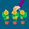 Collect money from the money tree. Profit and financial success. Investment concept