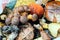 Collected forest mushrooms in a basket - Imleria badia, Leccinum, Suillus.