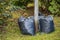 Collected and packed autumn leaves. Large full black plastic bags