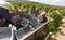 Collecting grapes at countryside fields in mallorca