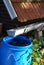 Collecting rainwater for watering the garden