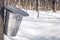 Collecting sap for traditional maple syrup production