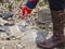 Collecting seashells on the beach