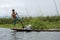 Collecting seaweed for the garden on inlay lake