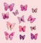 Collection 12 Pink Fantasy Butterflies Insect