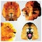Collection of 4 geometric polygon lions, pattern design