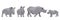 Collection of adult white and black african rhinos and their young