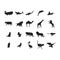 collection of animal and bird silhouettes. Vector illustration decorative design