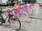 Collection of antique bicycles that are rented in the tourist area