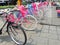 Collection of antique bicycles that are rented in the tourist area