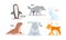 Collection of Arctic animals with names, penguin, wolf, rabbit, seal, polar bear, lynx vector Illustration