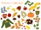 Collection of autumn vector pictures. A set of autumn items - leaves, pumpkin, sweater, scarf and more.