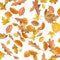 Collection beautiful colorful different autumn leaves, blowing through the air isolated on white background, autumn concept backgr