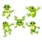 The collection of the beautiful green frog in the different posing