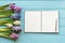 Collection of beautiful hyacinth flowers in pink, blue, white, violet colors and open notebook with pen on the blue wooden