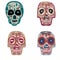 Collection of beautiful skulls on white background