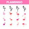 Collection Bird Flamingo Vector Sign Icons Set